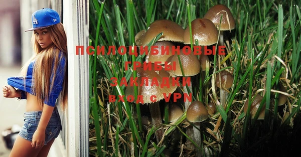 гашик Баксан