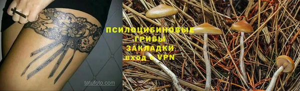 a pvp Балабаново