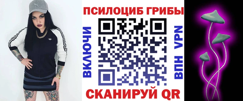 где найти наркотики  Лагань  Псилоцибиновые грибы MAGIC MUSHROOMS 